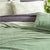 Plush 380GSM Ultra Soft Velvet Eucalyptus Blanket