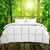 Luxury Soft Bamboo Blend All Seasons Quilt 350GSM