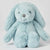 Aqua Bunny Plush 2 PACK