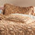 Somers Biscotti Pillowsham Pair